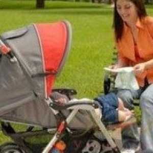 Koja kolica odlučiti za novorođenče?