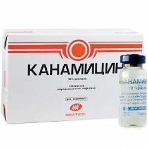 Kanamicin