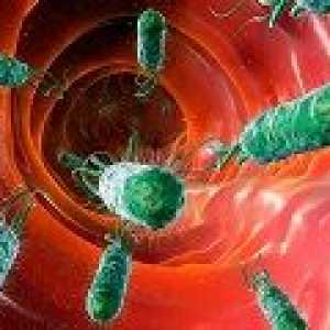 Liječenje antibioticima Helicobacter pylori