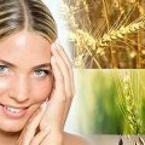 Pšenične klice ulje za lice, kosu, primjena