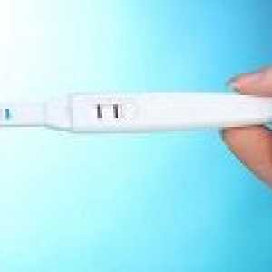 Može biti ovulacija tijekom trudnoće?