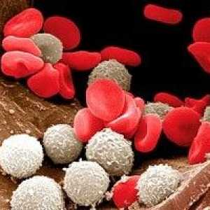 Norma broja bijelih krvnih stanica u djece