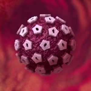 HPV i trudnoća: dijagnoza, posljedice i liječenje