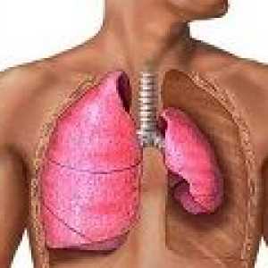 Primarna i sekundarna plućna tuberkuloza, uzrokuje, liječenje