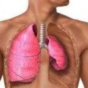 Prvi simptomi plućne tuberkuloze