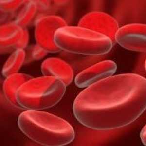 Povećanje broja leukocita u krvi: leukocitoza