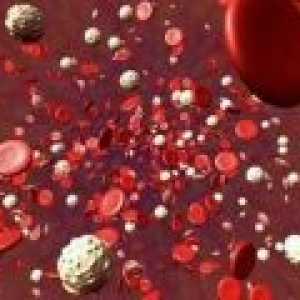 Povećan broj trombocita u krvi