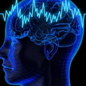 Uzroci i simptomi epilepsije