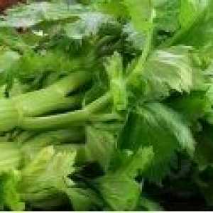 Celer - blagotvorno svojstva za muškarce