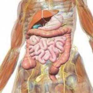 Simptomi gastroduodenita