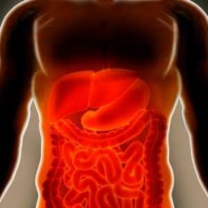 Simptomi i liječenje intestinalne ishemije