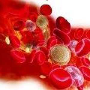 Trombocitopenija: uzroci, simptomi, liječenje