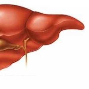 Znanstvenici su otkrili glavni neprijatelji jetre