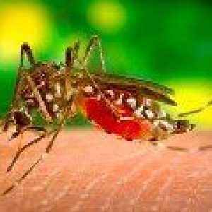 Malarija cjepivo će pomoći u zaštiti protiv raka