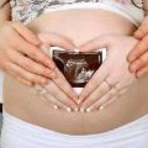 Da li ultrazvuk štetan za fetus tijekom trudnoće?